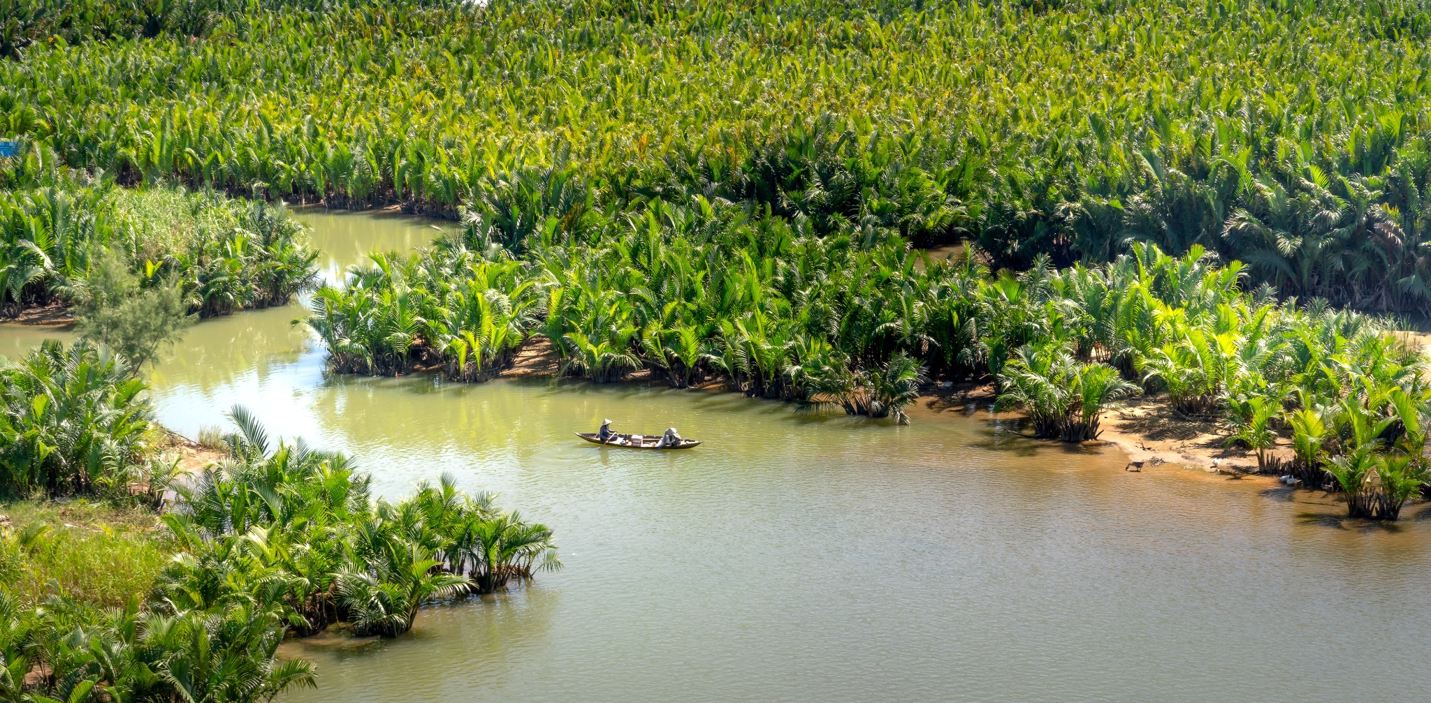 A small boat on a waterway bordered by nipa palms in Vietnam's Mekong Delta